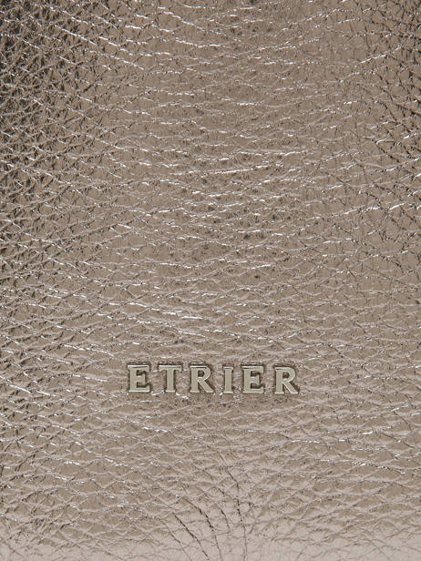 Crossbody Bag Jolly Leather Etrier Brown jolly EJOL146M other view 8