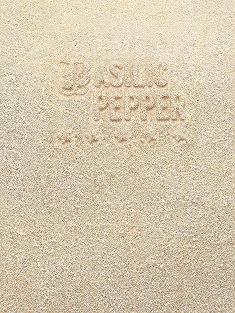 Sac à Main A4 Houston Cuir Basilic pepper Beige houston BHOU22 vue secondaire 5